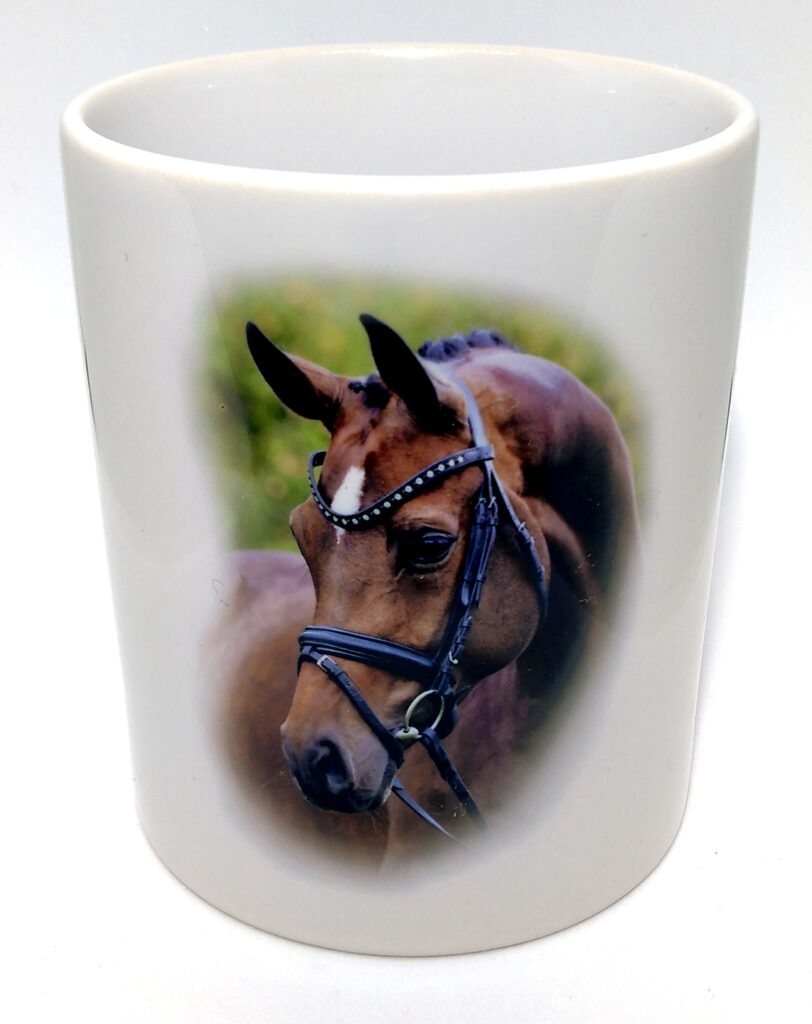 IMG 20220629 103738 1