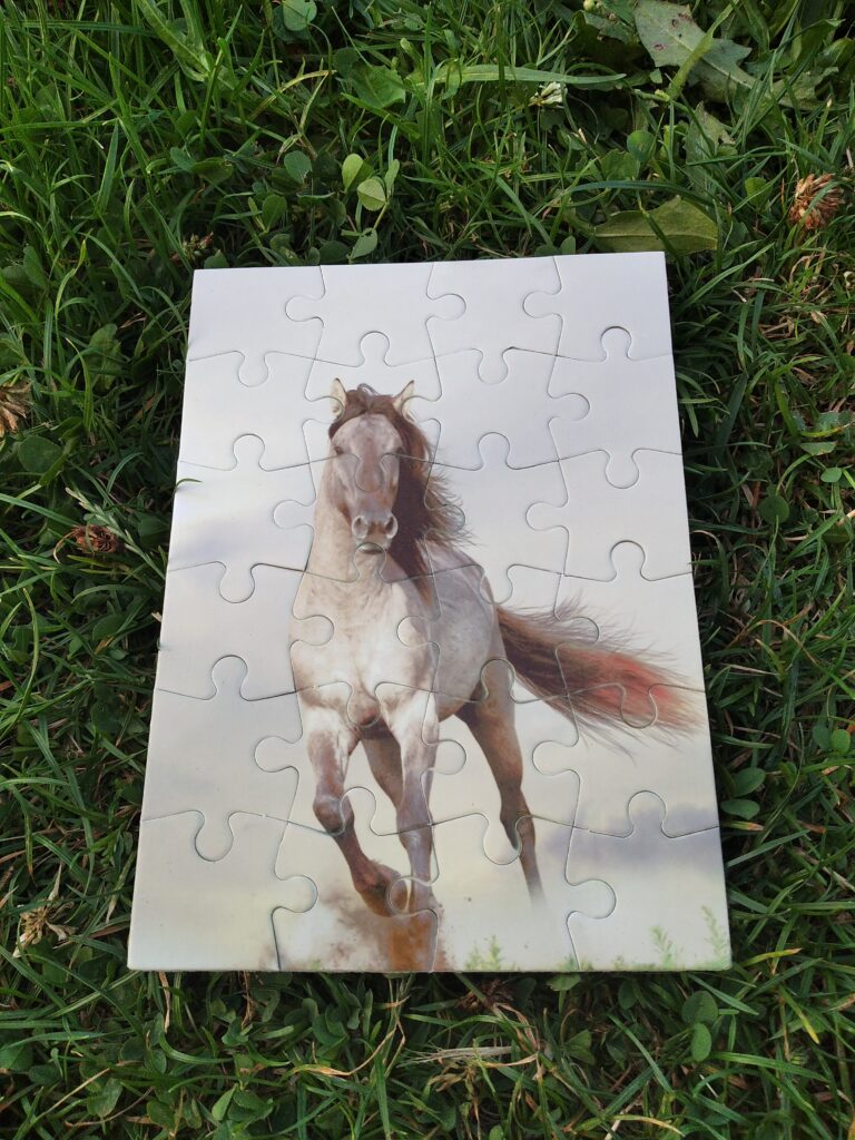 IMG 20230719 201724 1